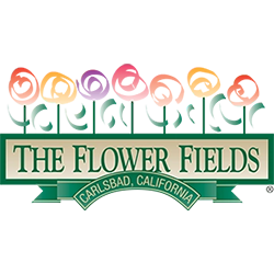 logo2